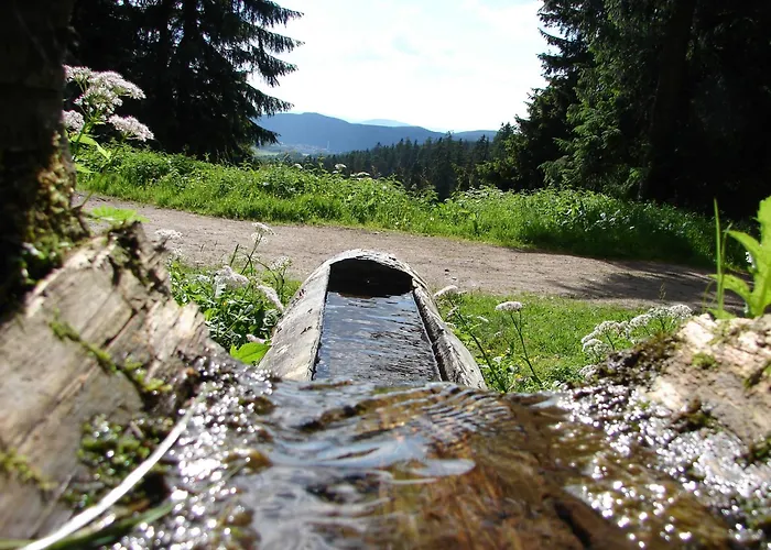Ferienwohnung Rennsteigblick